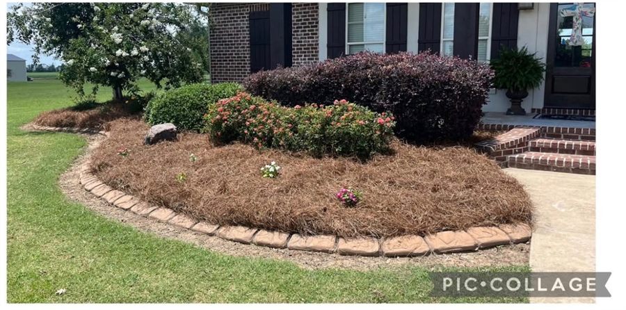 After: Front flowerbed weeded and remulched around the roses