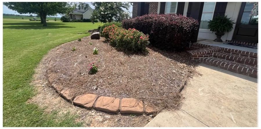 Before: Front flowerbed weeded and remulched around the roses