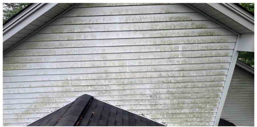 Before: Vinyl siding soft washed on a north Louisiana home