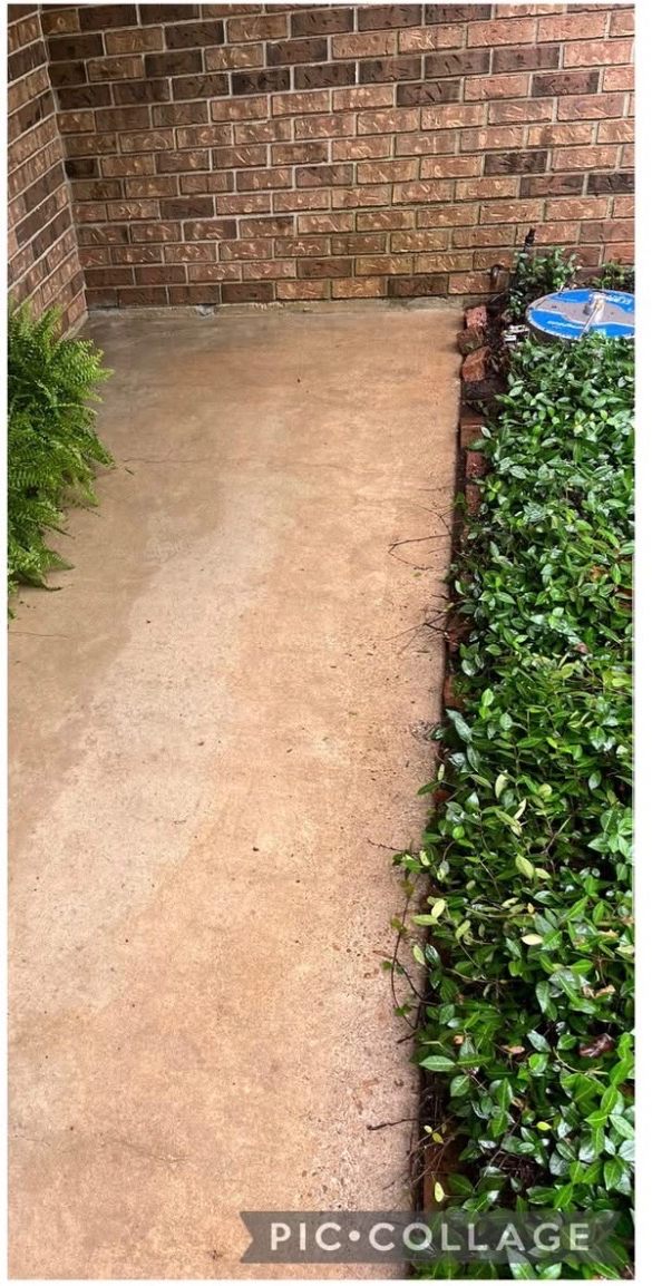 After: Concrete walkway pressure washed